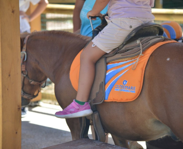 Il pony, il bambino e i 5 sensi