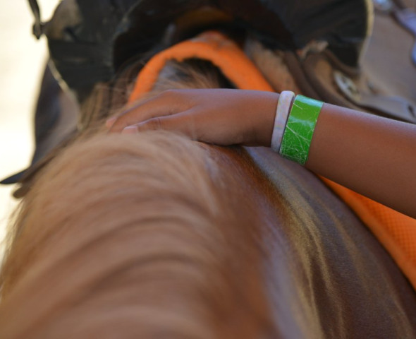 Il pony, il bambino e i 5 sensi