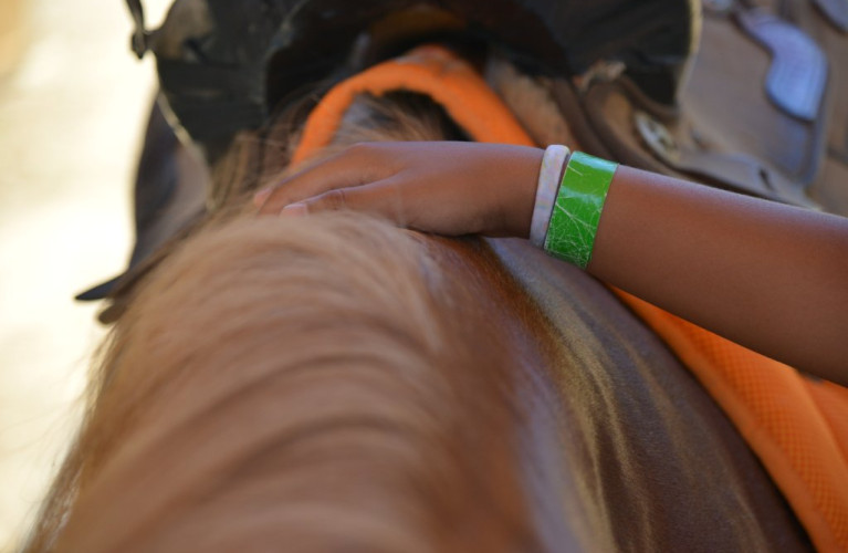 Il pony, il bambino e i 5 sensi