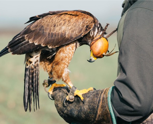 INCONTRA I NOSTRI EROI 