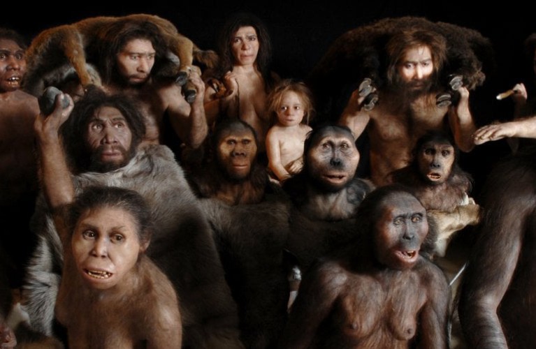 La nostra storia: un viaggio nel tempo - NOVITA' 2026