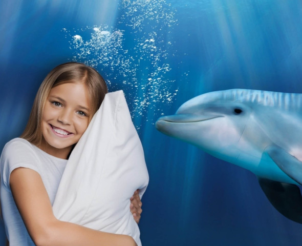Notte con i Delfini 