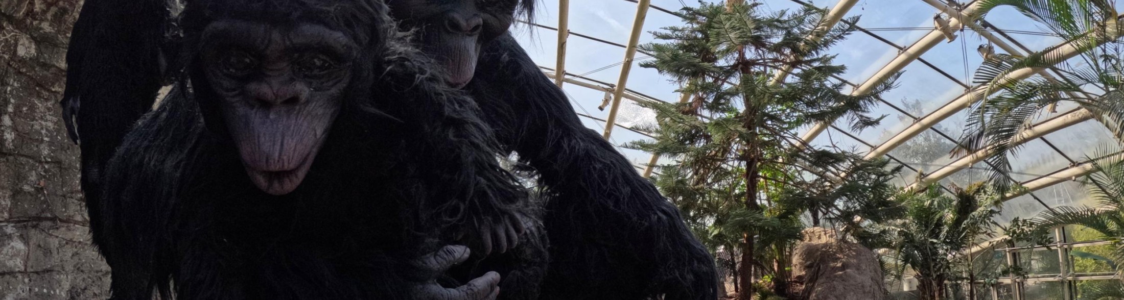 Novità didattiche 2026