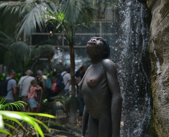 Percorsi guidati primaria