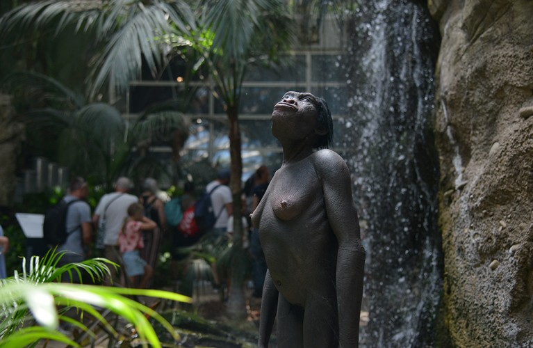 Percorsi guidati primaria