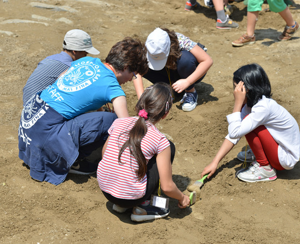 Piccoli paleontologi