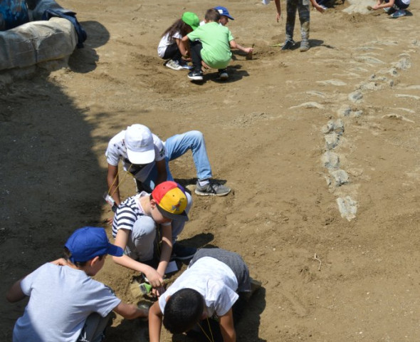 Piccoli paleontologi