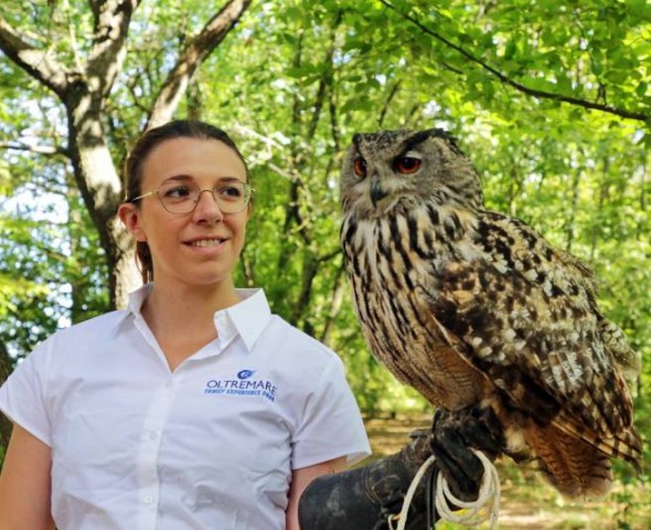 RAPTORS WORLD EXPERIENCE