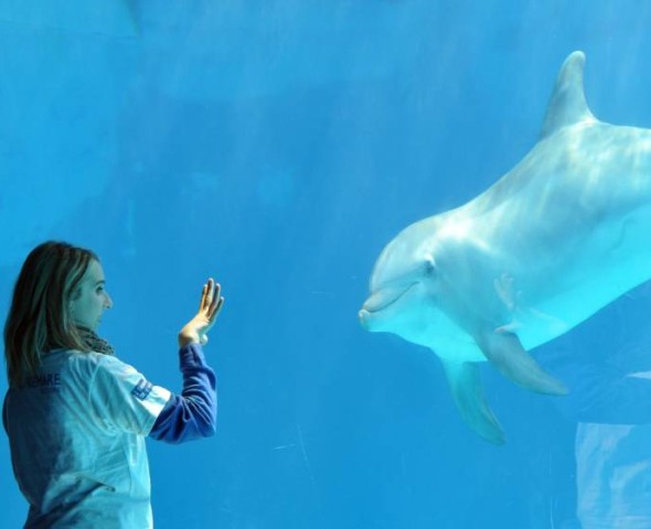 RAPTORS WORLD EXPERIENCE