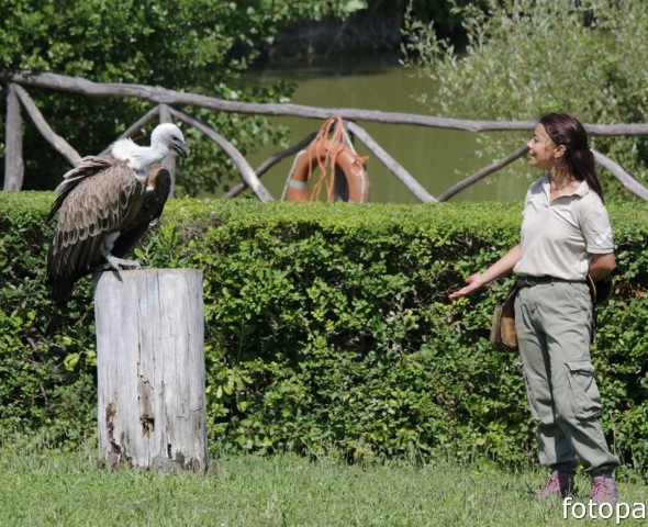 RAPTORS WORLD EXPERIENCE