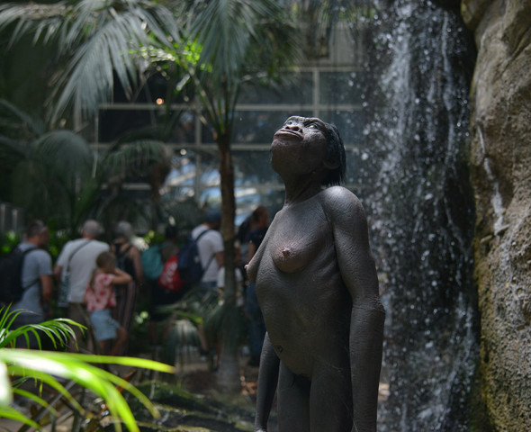 Sapiens