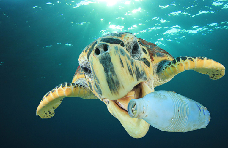 SOS mare: riciclare e non buttare
