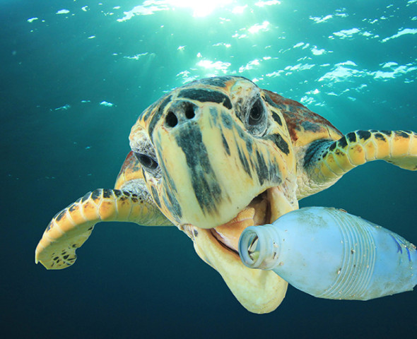 SOS mare: riciclare e non buttare