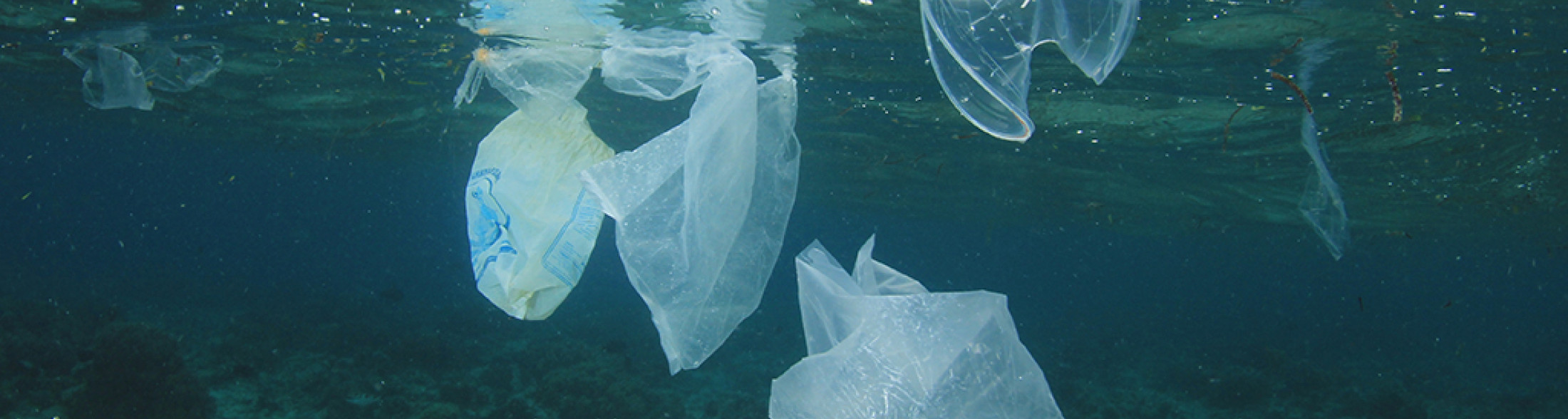 SOS mare: riciclare e non buttare