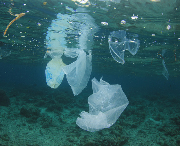 SOS mare: riciclare e non buttare