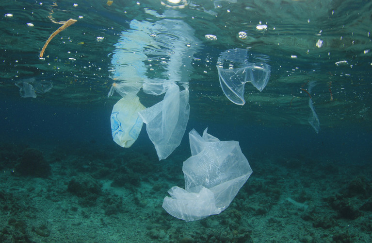 SOS mare: riciclare e non buttare