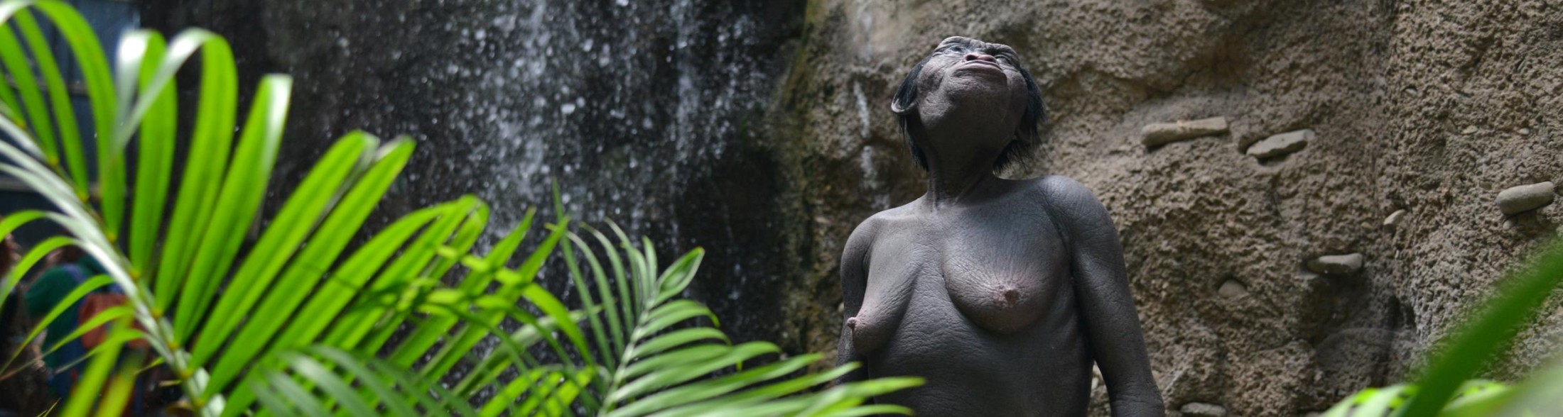 Visite guidate primaria