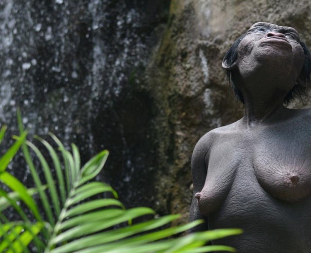 Visite guidate primaria