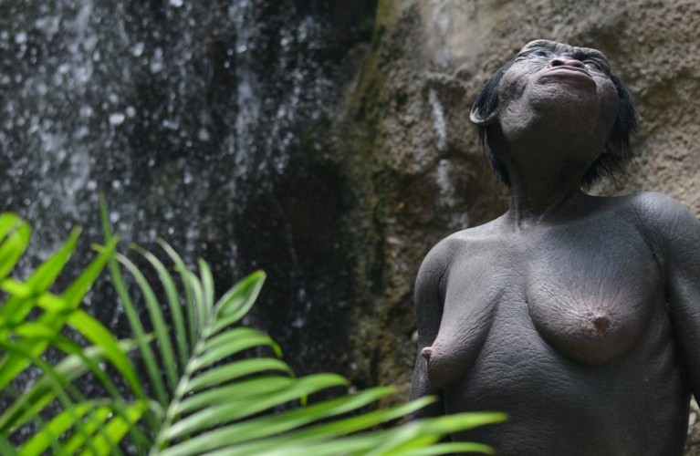 Visite guidate primaria