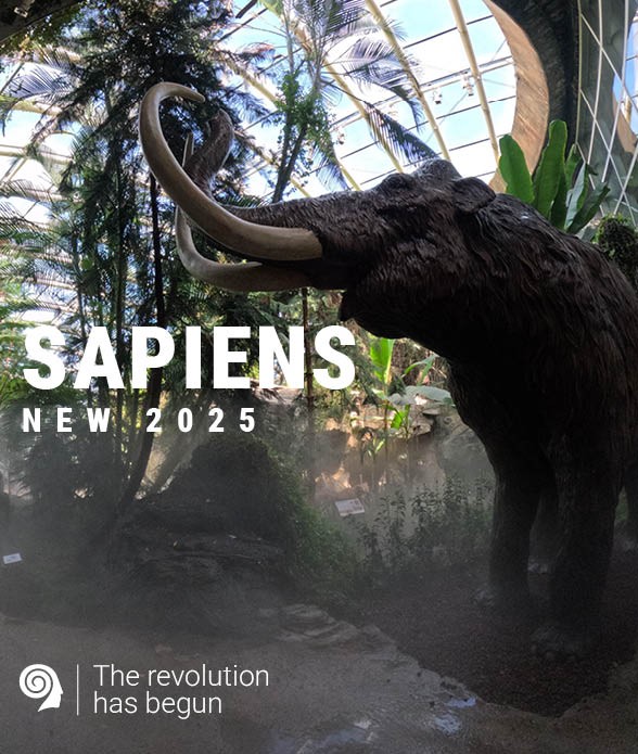 SAPIENS<br>