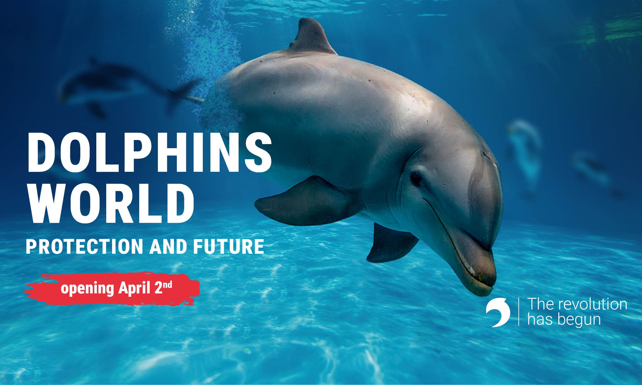 DOLPHINS WORLD