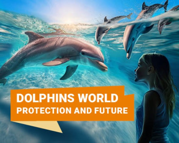 Commitment, Research, Conservation