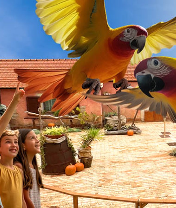 Parrots World
