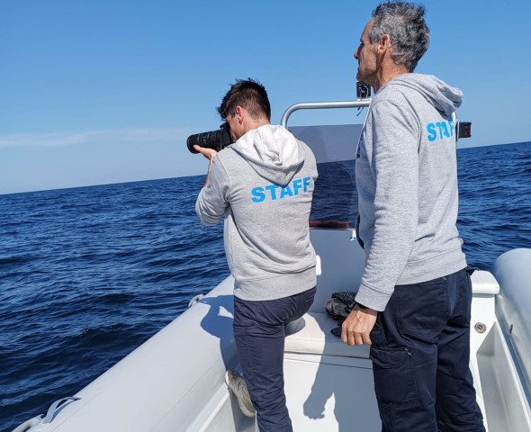 COSTA EDUTAINMENT AND DOLPHINS