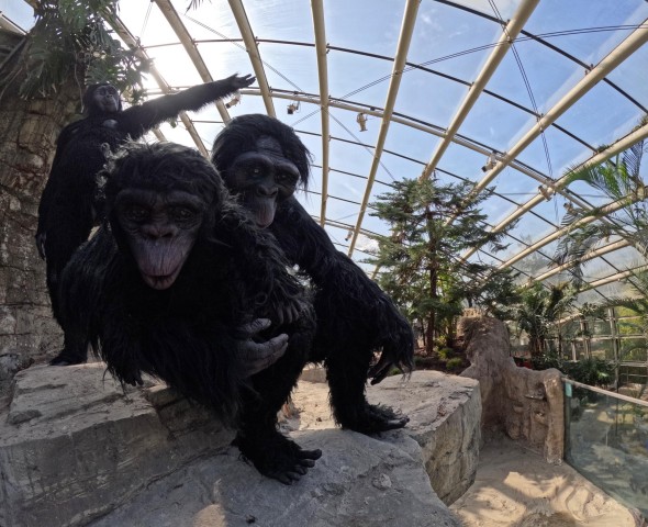 THE GARDEN OF EVOLUTION