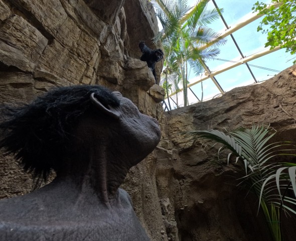 THE GARDEN OF EVOLUTION