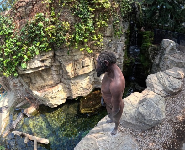 THE GARDEN OF EVOLUTION