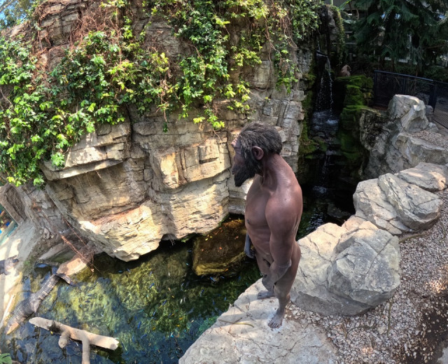 THE GARDEN OF EVOLUTION