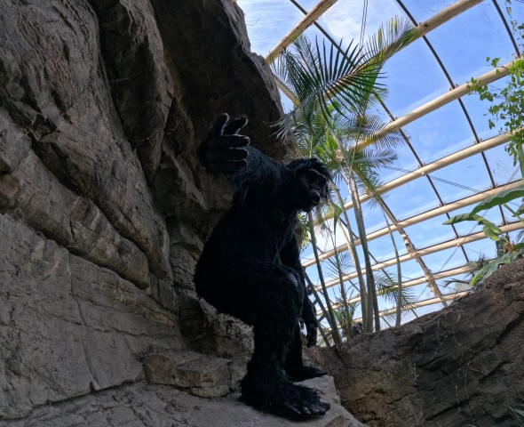 THE GARDEN OF EVOLUTION