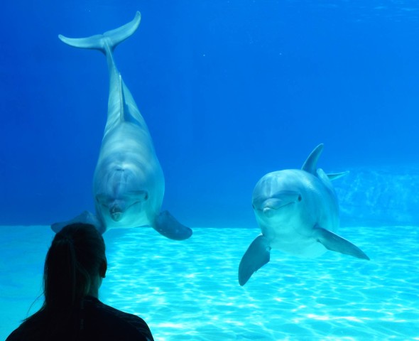 EXPERIENCE THE ENCOUNTER!