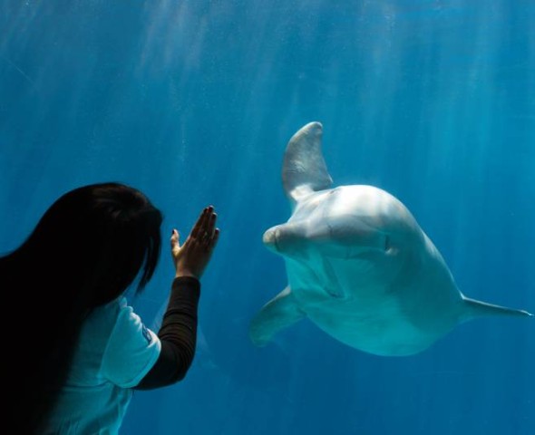 EXPERIENCE THE ENCOUNTER!